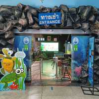 Aquarium Phuket