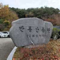 가을 분위기 즐기기 좋은 김해 반룡산공원
