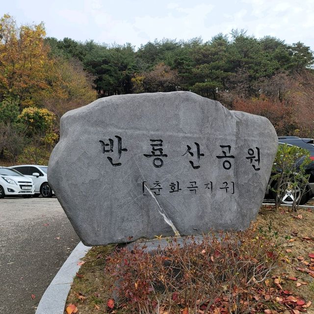 가을 분위기 즐기기 좋은 김해 반룡산공원