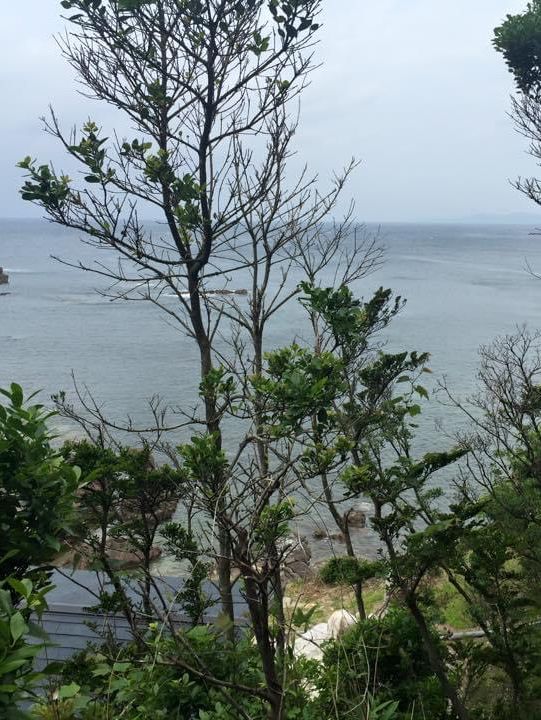 旅遊推介 關西和歌山-浜千鳥の湯 海舟 無敵海景日式頂級溫泉旅館