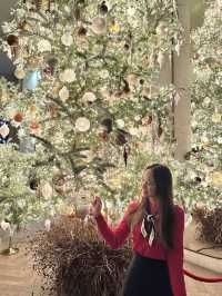 서울에서 제일 예쁜 트리가 있는 그랜드 하얏트🎄