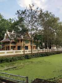 วัดนาควัชรโสภณ (วัดช้าง)