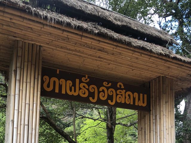 Tha Falang Lake🐟