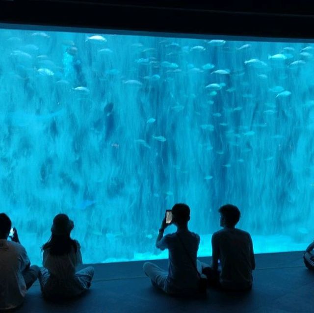 Phuket aquarium