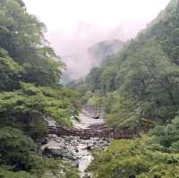 超令超有架勢祖谷蔓橋🫶🏻日本🇯🇵仙境