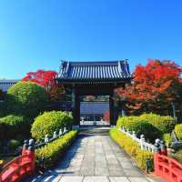 【京都】ブッダガヤ大塔を模した仏舎利塔