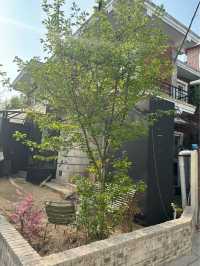서울에서 만난 파리,ofr seoul