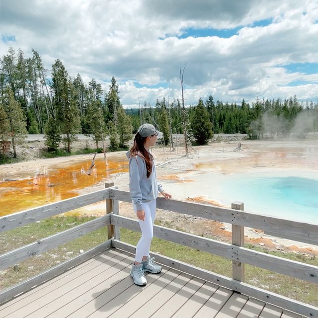 West Yellow Stone National Park 