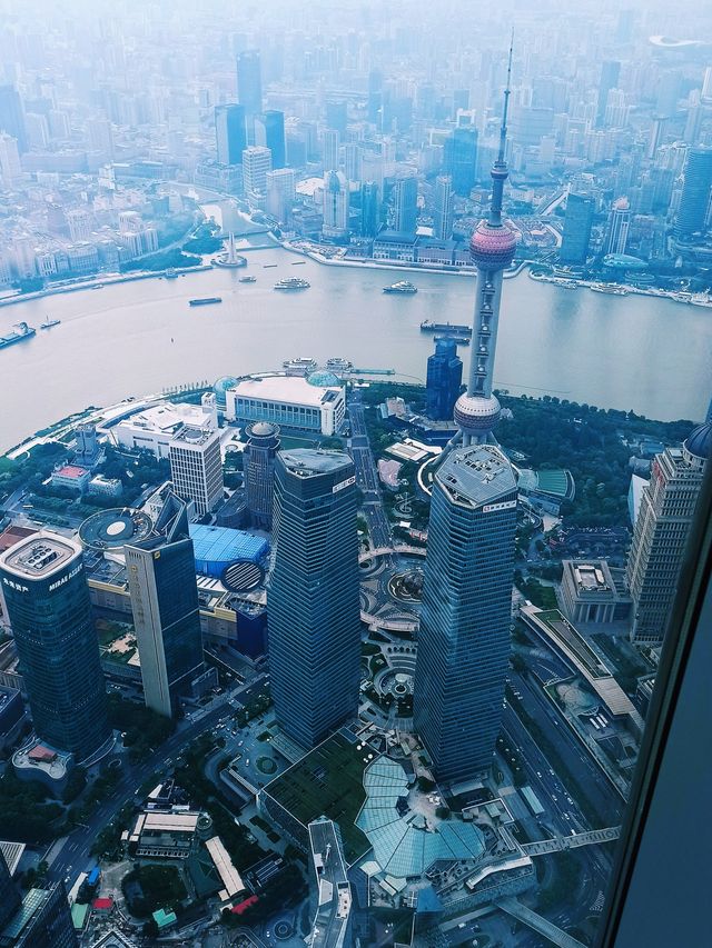 Tall buildings and views 🏙