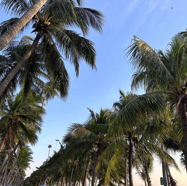 หาดบางแสนยามเย็น ตำนานรักอมตะ ไม่รู้ลืม 🏖️