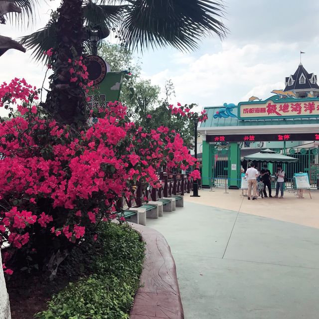 Chengdu Haichang Polar Ocean Park 