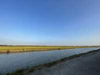 Cycling in Chongming Island