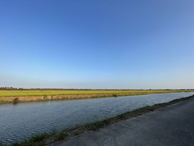 Cycling in Chongming Island