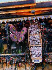 Let’s explore Menghai in Xishuambanna 