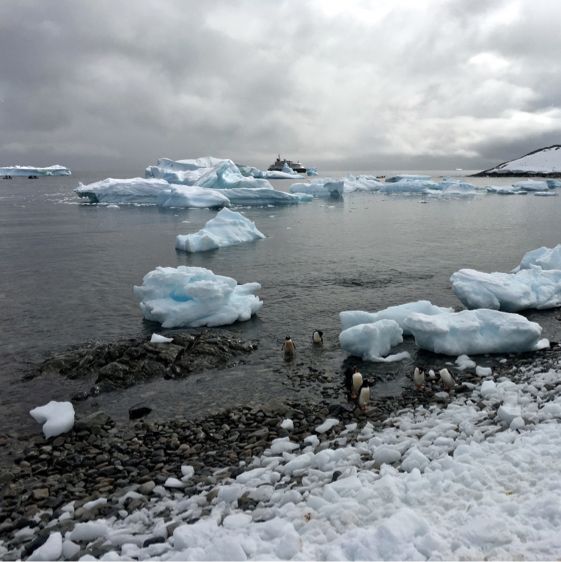 Antarctic Expedition