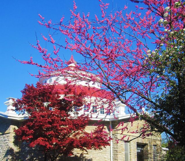 Colorful Tulip Garden and Zoo