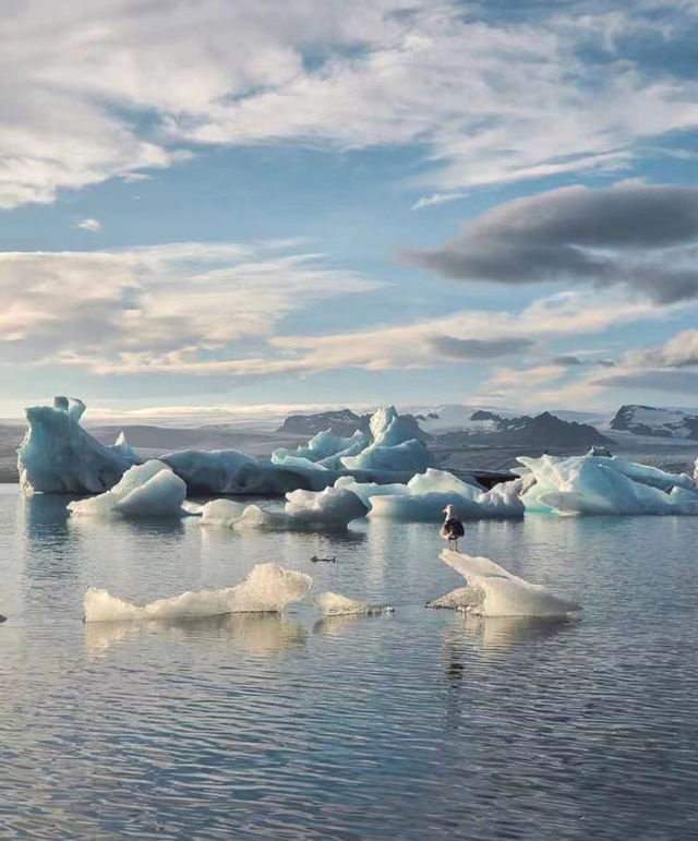 Take you on a tour of global snow scenes! My skiing dream sets sail.