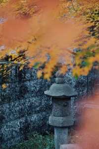 Just second to Sensoji Temple in age, yet it possesses a national treasure Buddha statue.