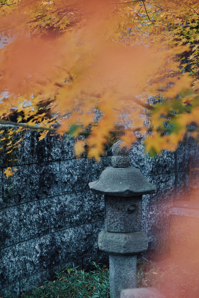 Just second to Sensoji Temple in age, yet it possesses a national treasure Buddha statue.