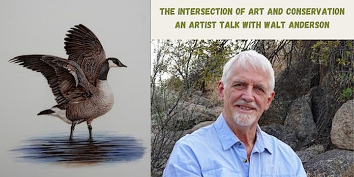 The Intersection of Art and Conservation: Artist Talk with Walt Anderson | Natural History Institute
