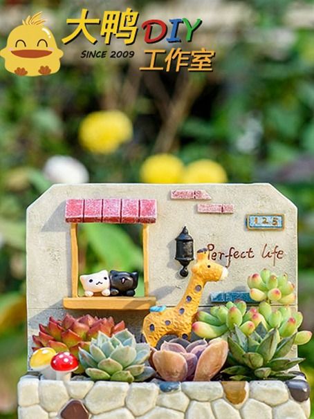 大鴨DIY手工坊 多肉植物微景觀DIY 小花園手工作品|展覽休閒 | 上海大鴨手工課程
