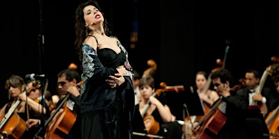 Moments in Music – A Brief History of Opera | Lane Cove Library, Library Walk