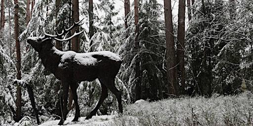 January Entrance Tickets | The Sculpture Park