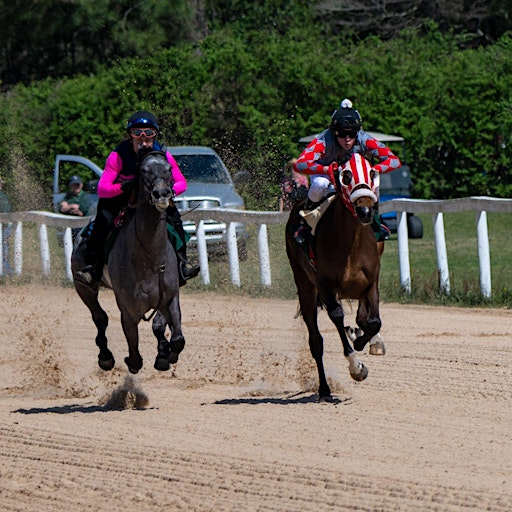 82nd Running of the Aiken Trials | The Aiken Training Track