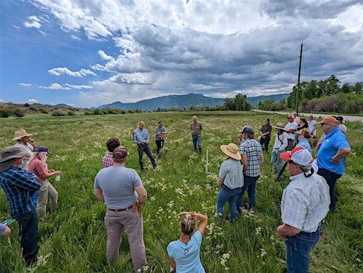 Introduction to Regenerative Ranching | 580 W Weber Canyon Rd