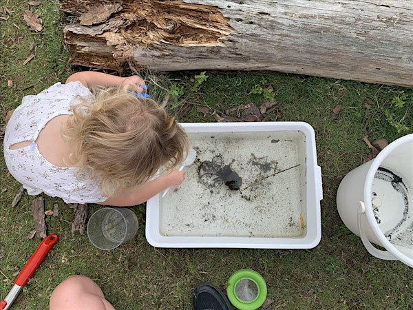 Whisby Dragonfly Day: Pond Dipping Activities | Whisby Education Centre