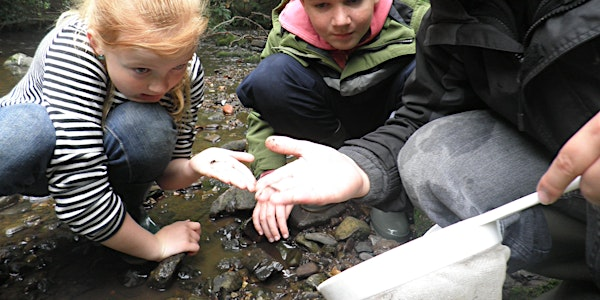 River Dipping for 5 to 10 year olds | Water of Leith Conservation Trust and Visitor Centre