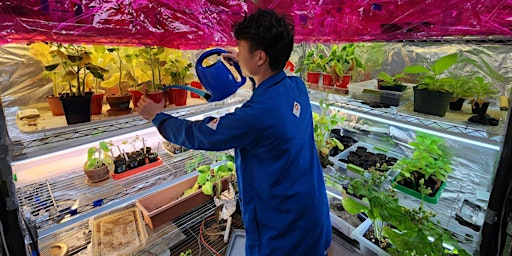 Hydroponic Agriculture Workshop — NASA Fundamentals Take-Home Kit Included | Counter Culture Labs