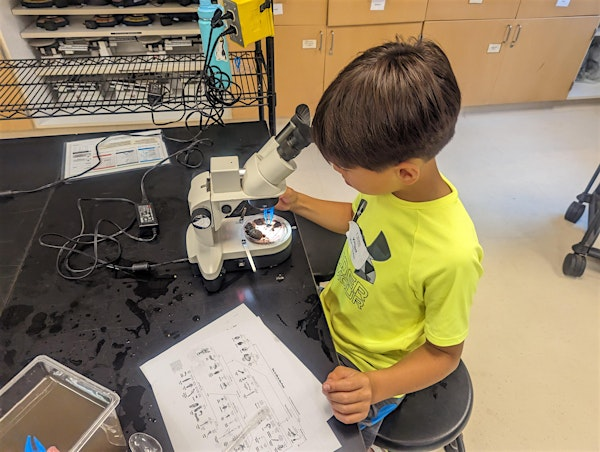 Underwater Adventures: The Secret Lives of River Creatures   | Grades K-1 | Van Andel Institute for Education