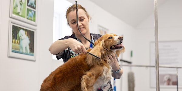 Rethinking Canine Minds: Understanding Dog Behaviour | Northumberland College Kirkley Hall Campus