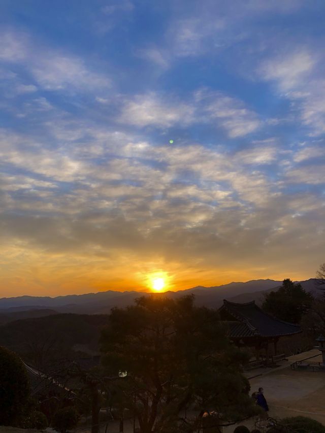 가끔은 전통적인 여행도 좋잖아? 🌅영주 부석사🌄