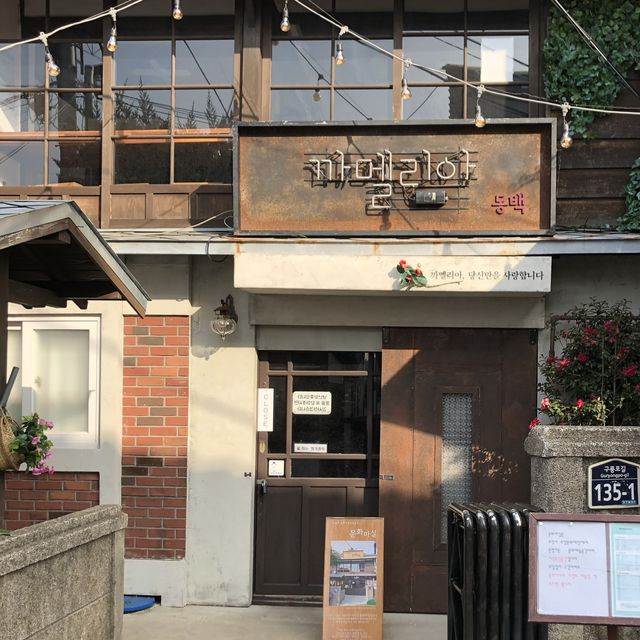 까멜리아가 반겨주는, 구룡포 일본인 가옥거리