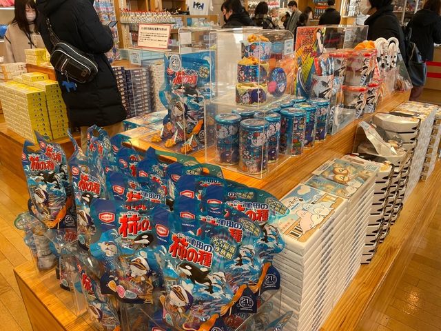 名古屋港水族館周辺！入園しなくても楽しめる🙆‍♀️🐬💓【名古屋港】