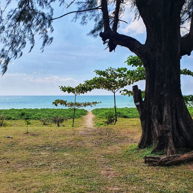 หาดพังงาสวยๆเยอะเลย