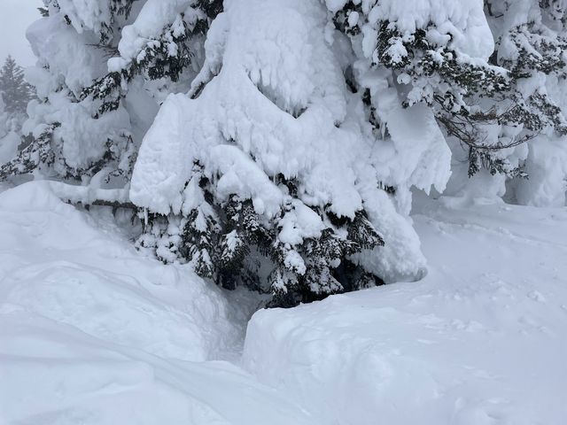 【宮城】雪上車で樹氷めぐり