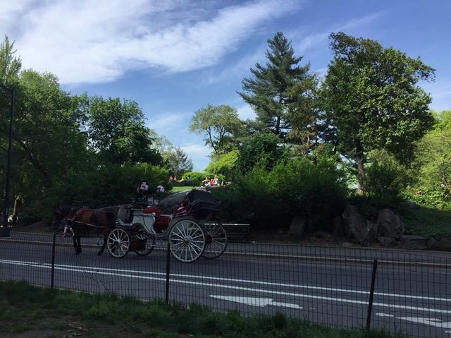 好靚既New York Central Park