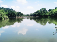 古洞心型湖