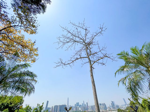 另一高處 落馬洲花園 另一高處 落馬洲花園