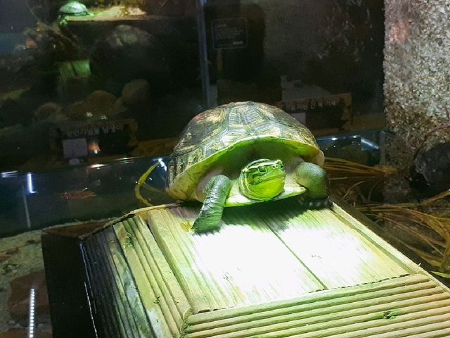 부산 데이트코스, SEA LIFE 아쿠아리움
