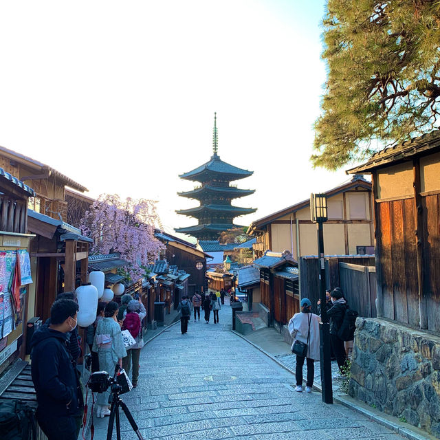 京都　京都散策旅　八坂の塔の桜とのコラボに感動❗️