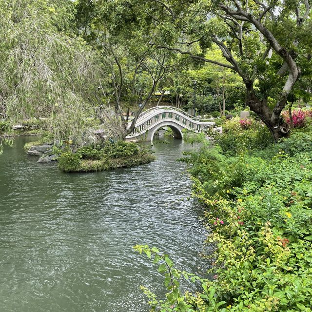 賞花好地方「蝴蝶灣公園」