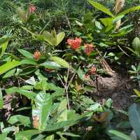 以航海為主題的公園