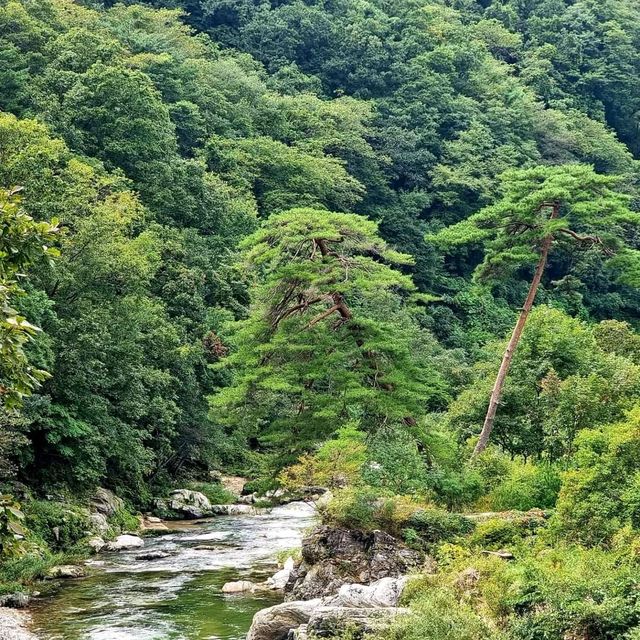 홍천9경 용소계곡