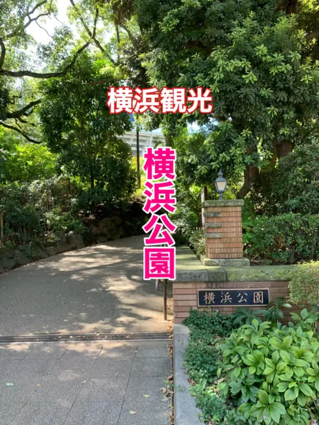 横浜　横浜観光　長閑な横浜公園で一休み❗️