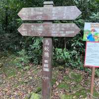 親子行山好去處👣 烏絞騰->三亞村->荔枝窩