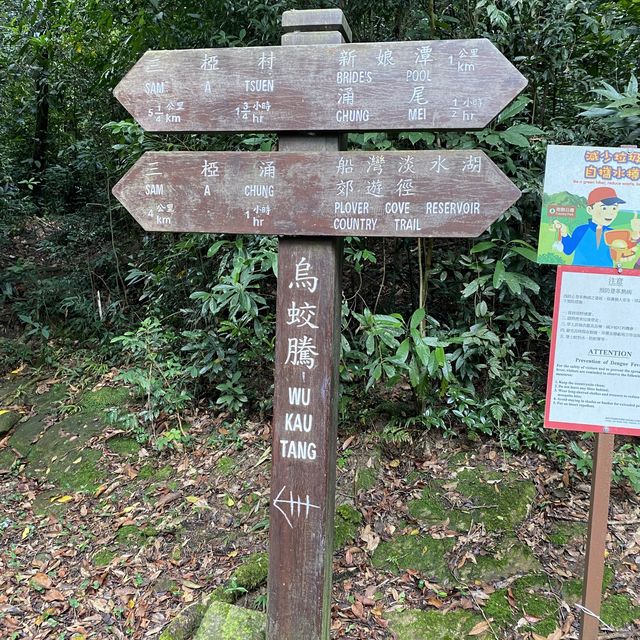 親子行山好去處👣 烏絞騰->三亞村->荔枝窩